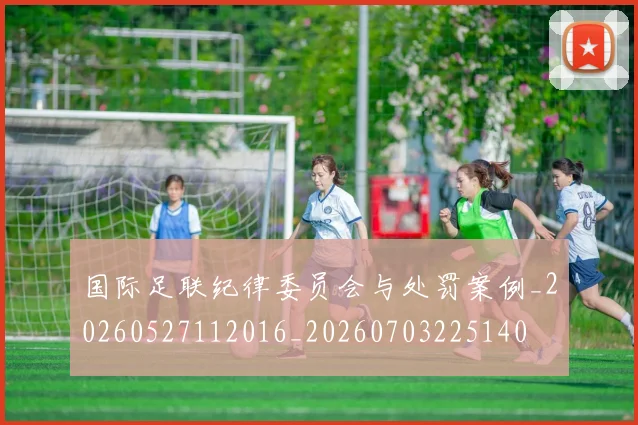国际足联纪律委员会与处罚案例_20260527112016_20260703225140